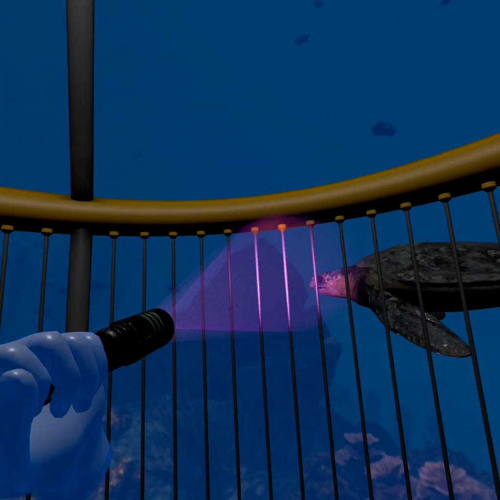 Tortuga marina nadando